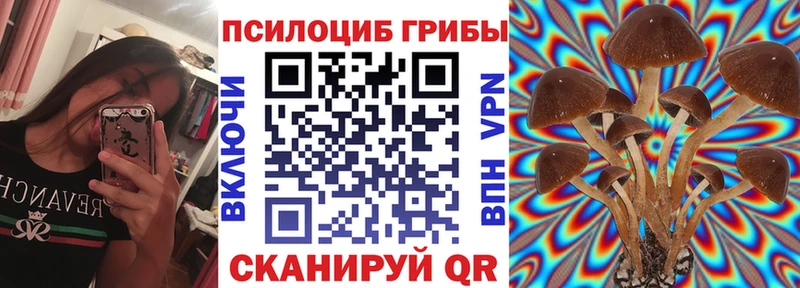 Псилоцибиновые грибы Cubensis  darknet как зайти  Саранск 